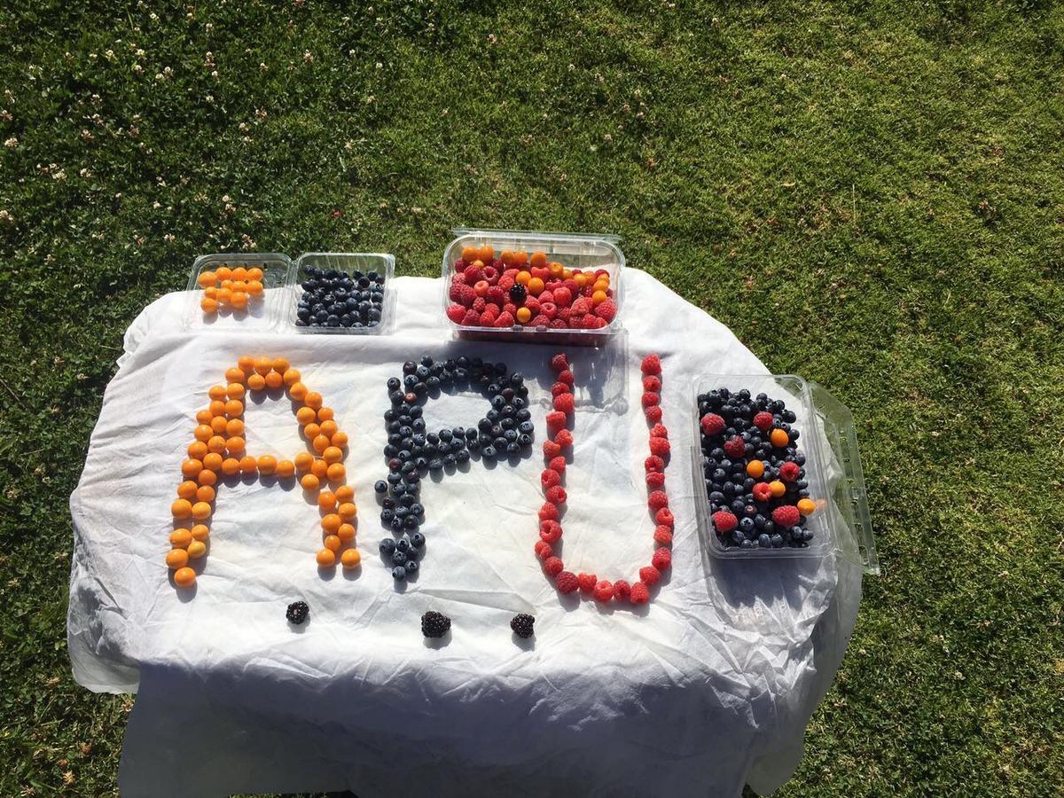 Apu Ecolodge Caraz Bagian luar foto